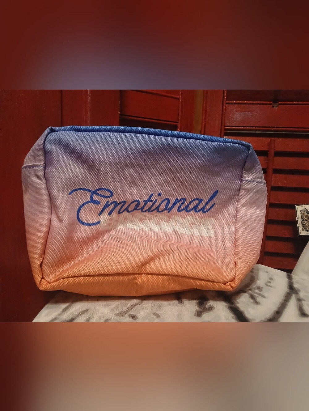 Emotional Baggage Cosmetic Pouch